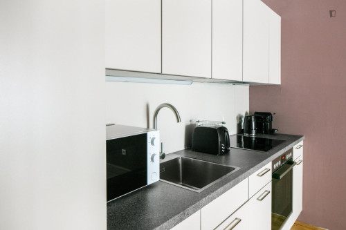 Gorgeous 1-bedroom flat in Sankt Marx - Gallery - 12
