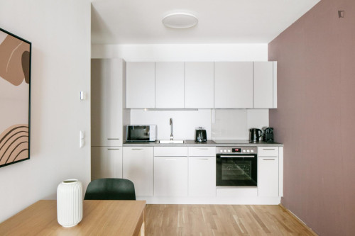 Gorgeous 1-bedroom flat in Sankt Marx - Gallery - 11
