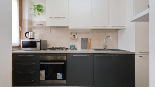 Welcoming 2-bedroom flat in Zona IX Acqua Vergine