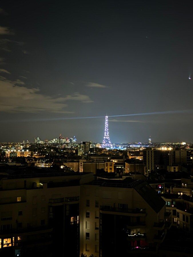  Sunny Studio With Balcony And Eiffel Tower Views  -  Sunny Studio with Balcony and Eiffel Tower Views  - Gallery -  8