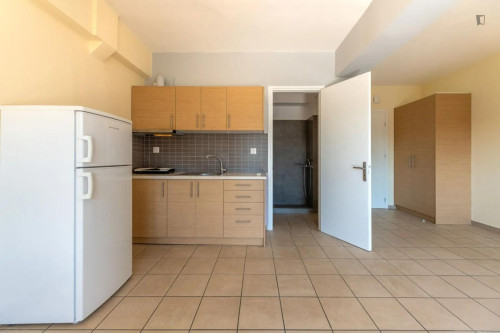 Big and bright studio in Zogafrou