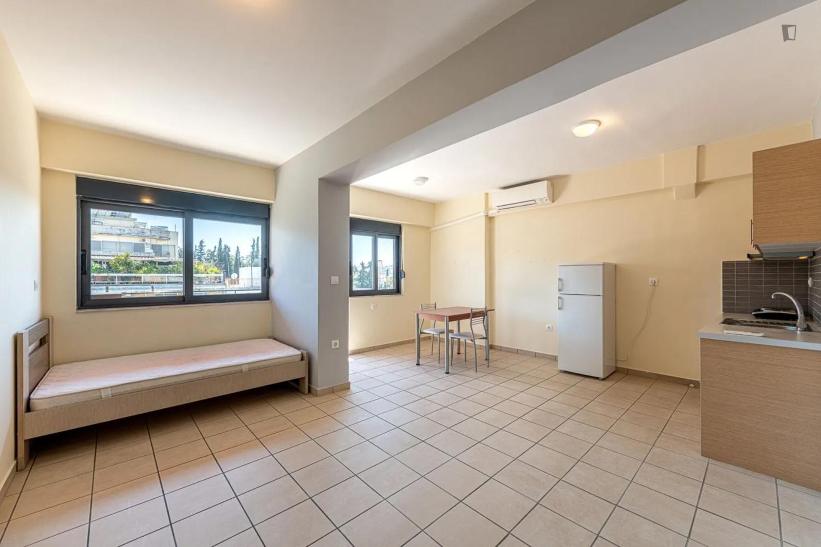 Big And Bright Studio In Zogafrou - 1