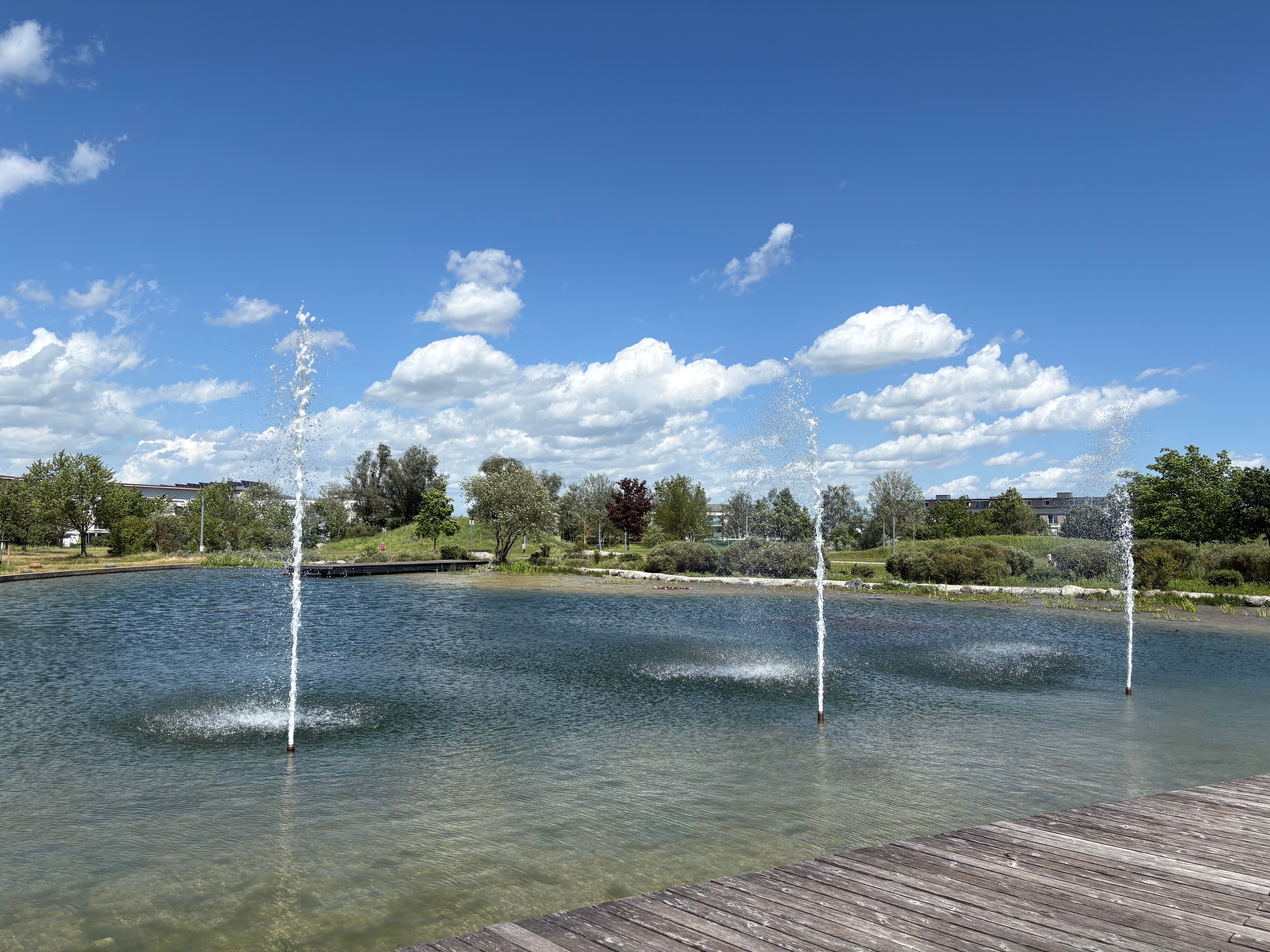 Quiet Home In OlchingModern Fully Furnished 1-Bedroom Apartment In A Quiet Parkside Location  -  Quiet home in OlchingModern Fully Furnished 1-Bedroom Apartment in a Quiet Parkside Location  - Gallery -  2