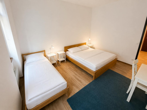 Eichenstraße, Vienna - Gallery - 6