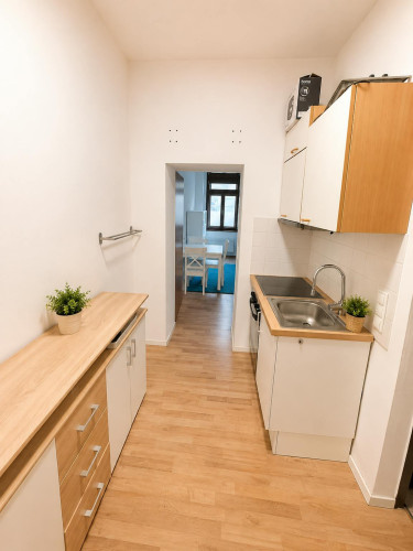 Eichenstraße, Vienna - Gallery - 7