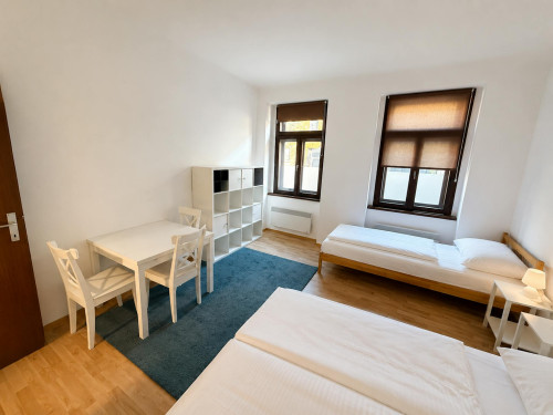Eichenstraße, Vienna - Gallery - 5
