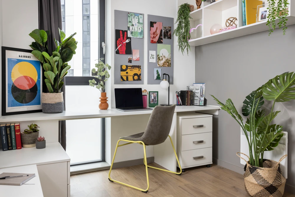  Extra Large Highest Double Studio  -  Unite Students Parkway Gate  - Gallery -  5