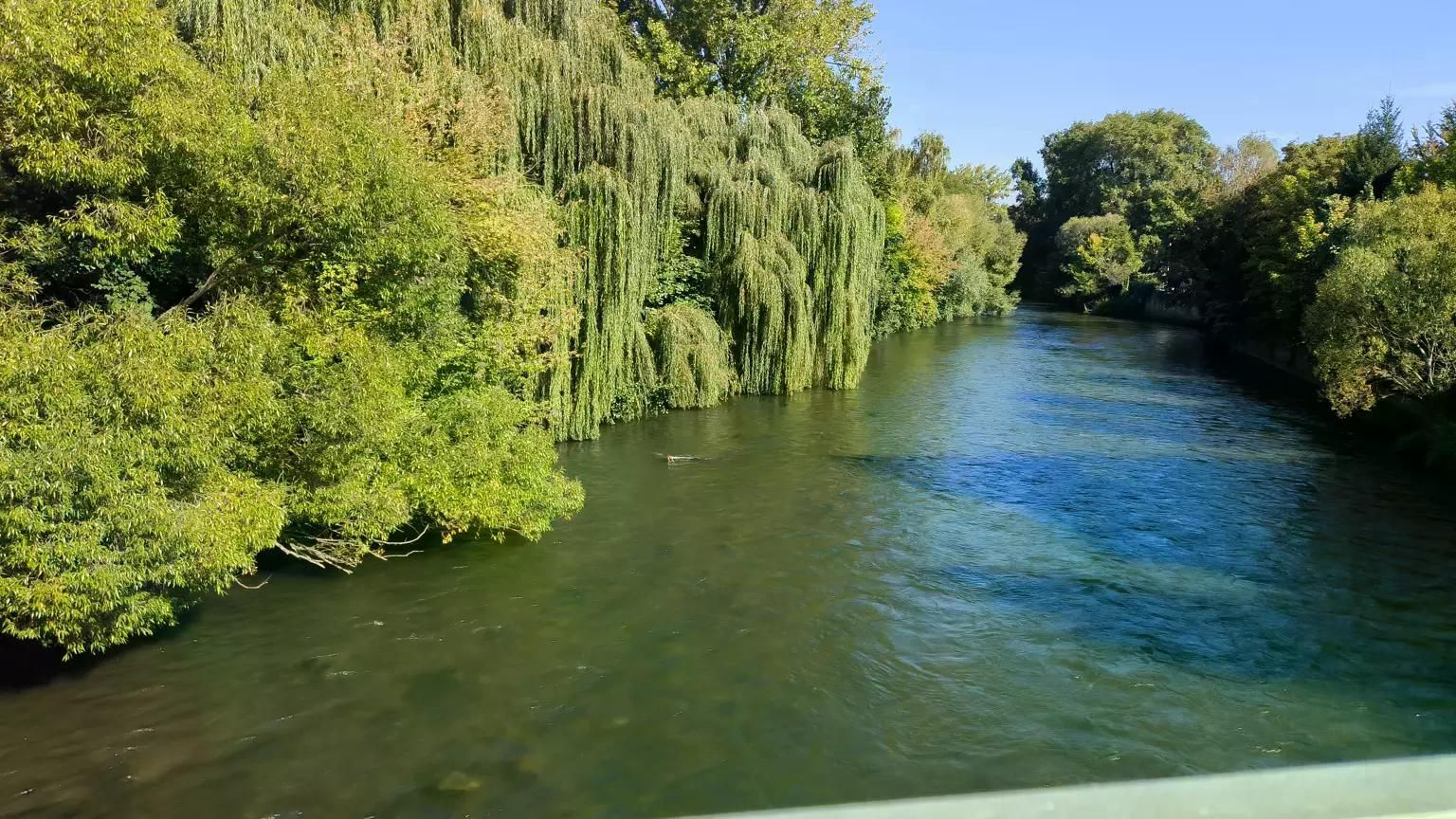  Pure Nature And Directly At Stadthalle U-Bahn Station! Fully Furnished Bright 2-Room Apartment, With  -  Pure nature and directly at Stadthalle U-Bahn station! Fully furnished bright 2-room apartment, with balcony, quiet  - Gallery -  5