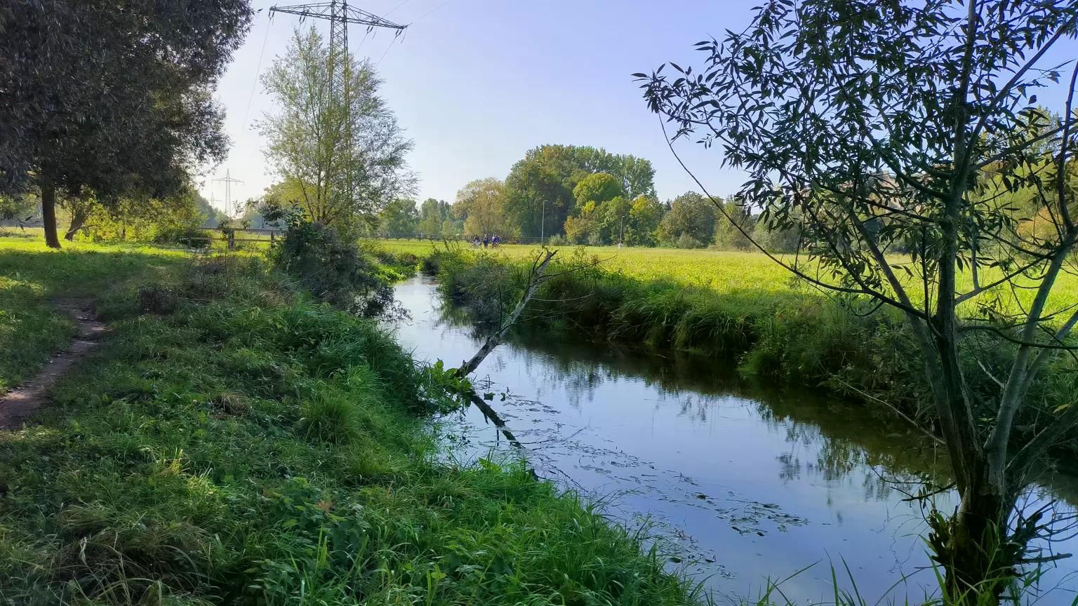  Pure Nature And Directly At Stadthalle U-Bahn Station! Fully Furnished Bright 2-Room Apartment, With  -  Pure nature and directly at Stadthalle U-Bahn station! Fully furnished bright 2-room apartment, with balcony, quiet  - Gallery -  4
