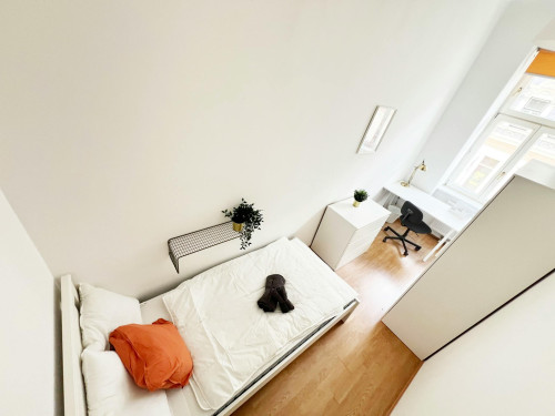 Wattgasse, Vienna - Gallery - 6