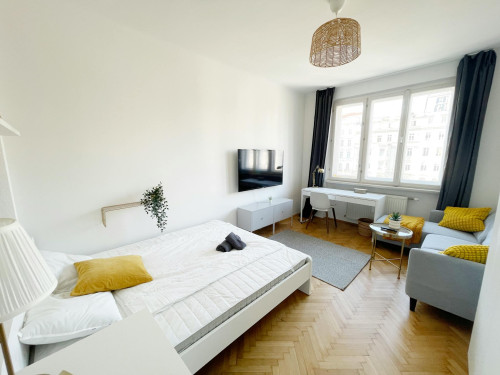Rechte Wienzeile, Vienna