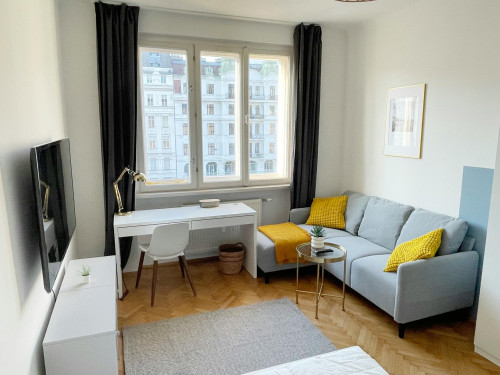 Rechte Wienzeile, Vienna - Gallery - 9