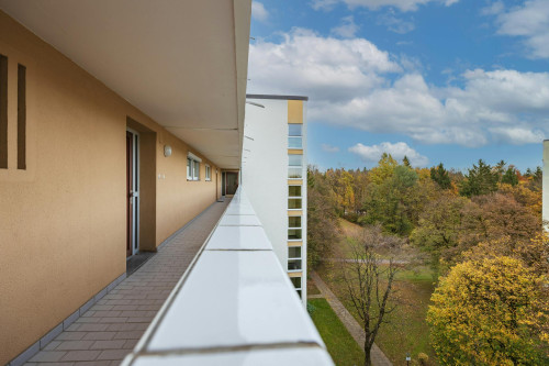 Schaffhauser Straße, Munich - Gallery - 9