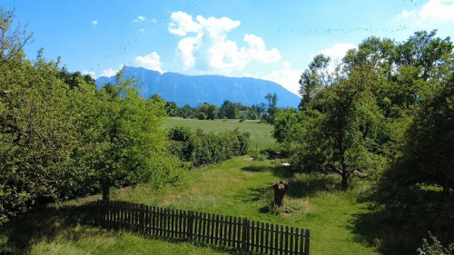 Green oasis just 10 min from Salzburg! - Gallery - 11