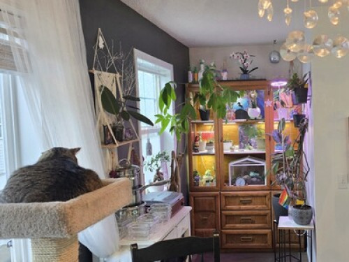 Safe & Quiet Home - Gallery - 9