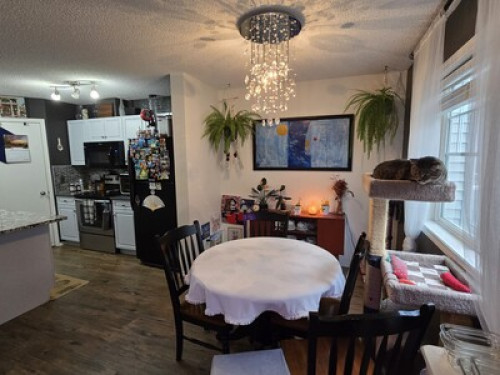 Safe & Quiet Home - Gallery - 8