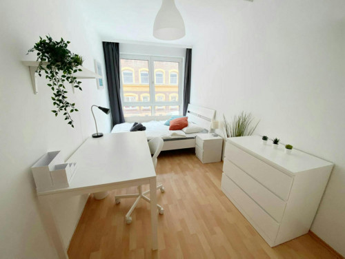 Sonnleithnergasse, Vienna