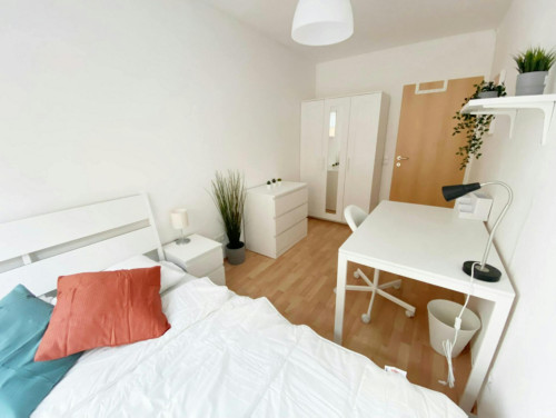 Sonnleithnergasse, Vienna - Gallery - 5