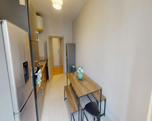 Rue du Président Édouard Herriot, Lyon - Gallery - 5