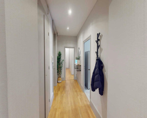 Rue du Président Édouard Herriot, Lyon - Gallery - 7