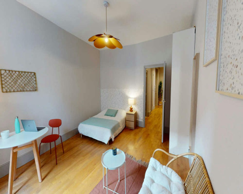 Rue du Président Édouard Herriot, Lyon