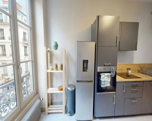 Rue du Président Édouard Herriot, Lyon - Gallery - 6