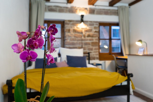 Quiet & cute apartment in the old town of Ettlingen - Gallery - 3