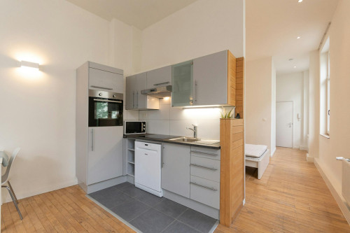 Rue des Drapiers, Ixelles - Gallery - 10