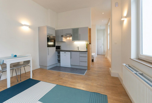 Rue des Drapiers, Ixelles - Gallery - 6