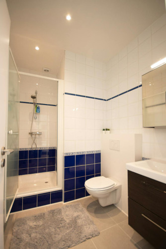 Rue des Drapiers, Ixelles - Gallery - 7