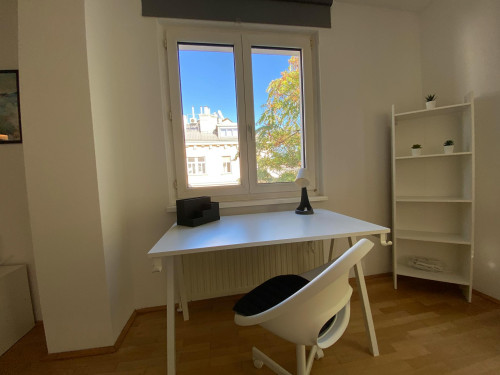 Schäffergasse, Vienna - Gallery - 6