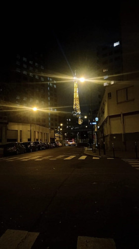 Rue Saint Charles, Paris