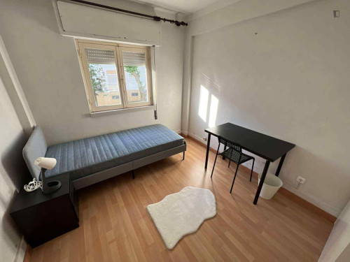 Bright single bedroom