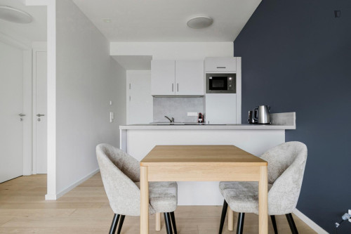 Welcoming 1-bedroom flat near the University of Economics and Business - Gallery - 13