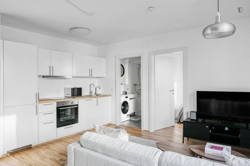 Exquisite 1-bedroom flat in Kaisermühlen - Gallery - 10