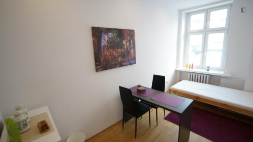 Alluring single bedroom near Park Staromiejski