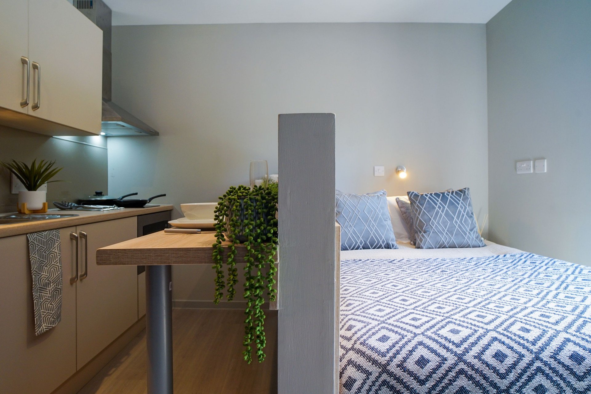  Premium Studio  -  Straits Meadow  - Gallery -  5
