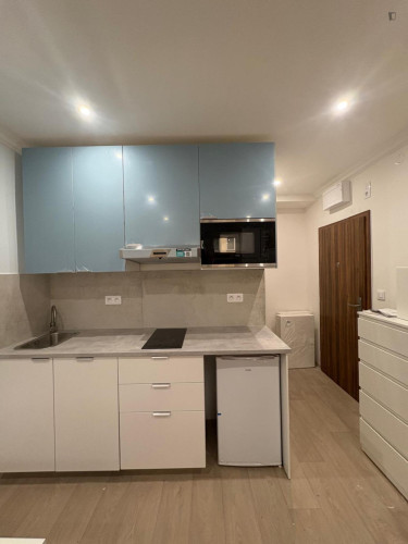 Cosy studio near Kačerov metro