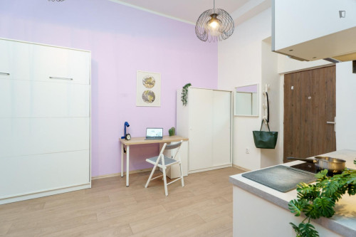 Comfortable studio apartment in Jezerka