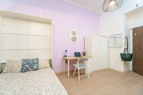 Comfortable studio apartment in Jezerka