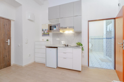 Comfortable studio apartment in Jezerka - Gallery - 7