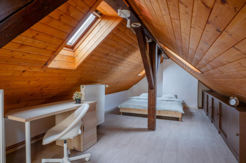 Lovely attic studio in Krč