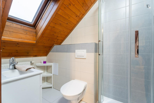 Lovely attic studio in Krč - Gallery - 11