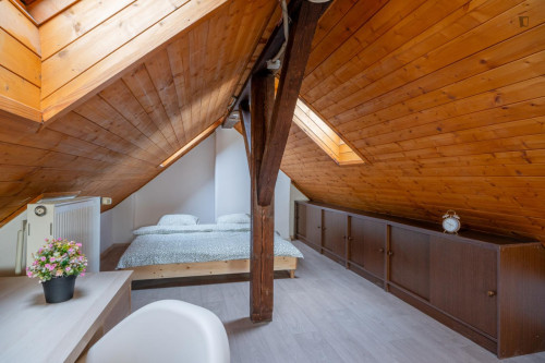 Lovely attic studio in Krč