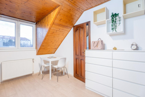 Lovely attic studio in Krč - Gallery - 8