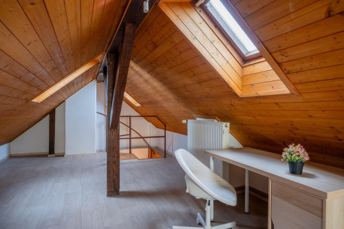 Lovely attic studio in Krč