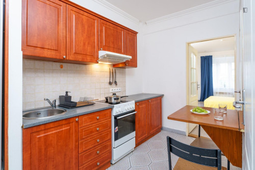 Spacious 2-bedroom apartment in Jezerka