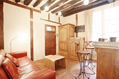 Very cosy studio apartment next to Temple du Marais