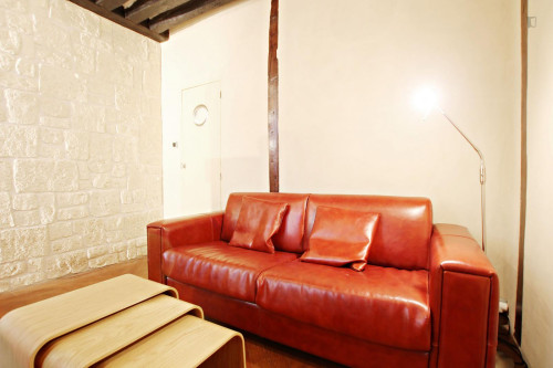 Very cosy studio apartment next to Temple du Marais - Gallery - 18