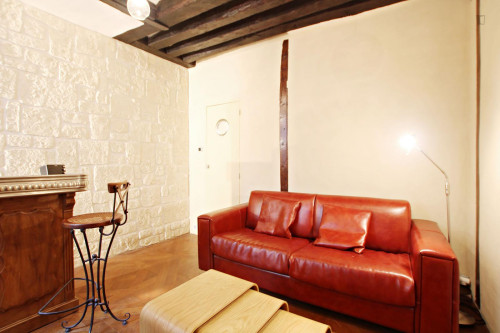 Very cosy studio apartment next to Temple du Marais - Gallery - 17